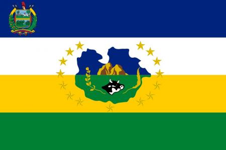 Bandera Del Estado Guarico Medidas 1.20 X 70
