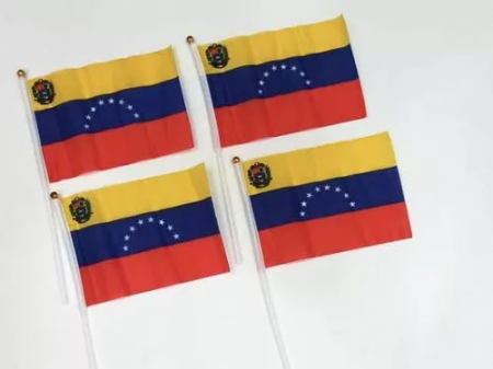 Bandera con Asa  de Plastico 20x33